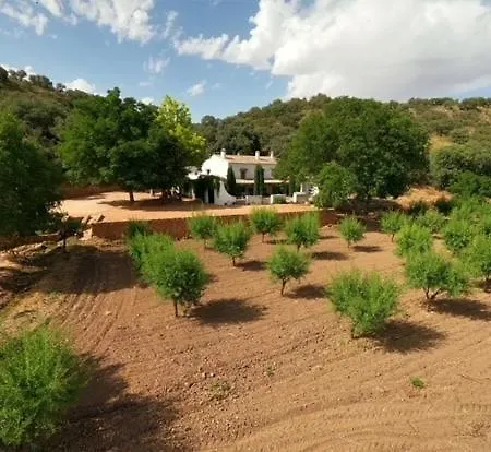El Tobar Ossa de Montiel